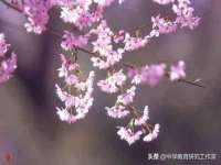 泗阳美蟹汇电子商务有限公司