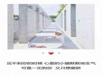泗阳美蟹汇电子商务有限公司