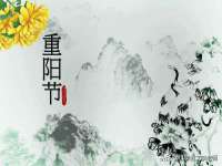 泗阳美蟹汇电子商务有限公司