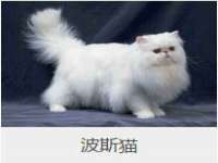 泗阳美蟹汇电子商务有限公司