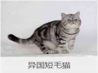 泗阳美蟹汇电子商务有限公司