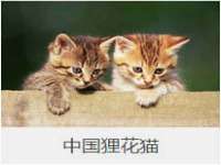 泗阳美蟹汇电子商务有限公司