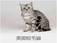 泗阳美蟹汇电子商务有限公司