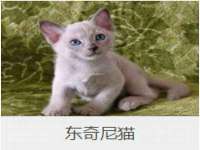 泗阳美蟹汇电子商务有限公司