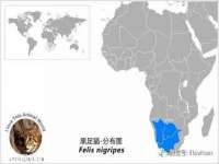 泗阳美蟹汇电子商务有限公司