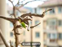 泗阳美蟹汇电子商务有限公司