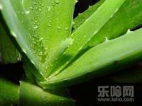 泗阳美蟹汇电子商务有限公司