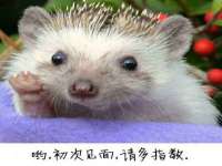 泗阳美蟹汇电子商务有限公司