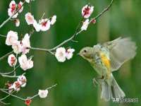 泗阳美蟹汇电子商务有限公司