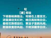 泗阳美蟹汇电子商务有限公司