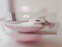 泗阳美蟹汇电子商务有限公司