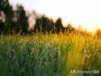 泗阳美蟹汇电子商务有限公司
