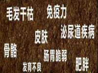 泗阳美蟹汇电子商务有限公司