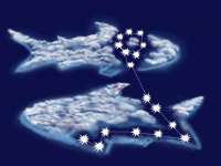 泗阳美蟹汇电子商务有限公司