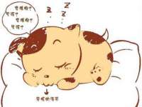 泗阳美蟹汇电子商务有限公司