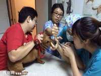 泗阳美蟹汇电子商务有限公司