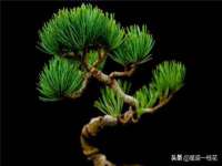 泗阳美蟹汇电子商务有限公司