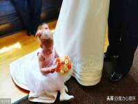 泗阳美蟹汇电子商务有限公司