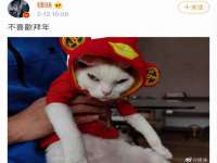 泗阳美蟹汇电子商务有限公司
